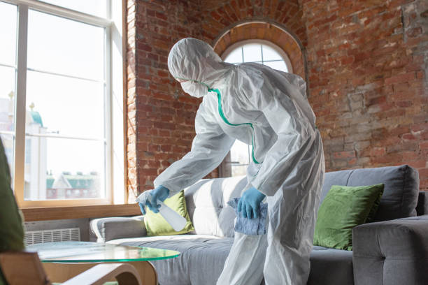 Best Black Mold Removal in Blackhawk, CA